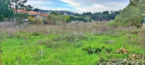 Terreno para Venda em Santa Maria e São Miguel, São Martinho, São Pedro Penaferrim