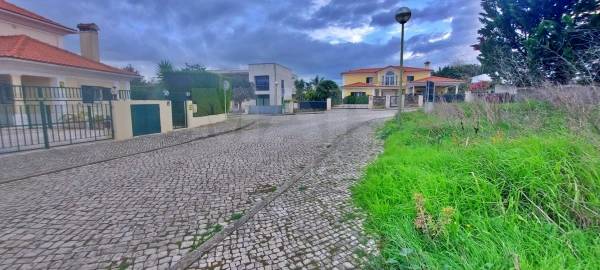 Terreno para Venda em Santa Maria e São Miguel, São Martinho, São Pedro Penaferrim