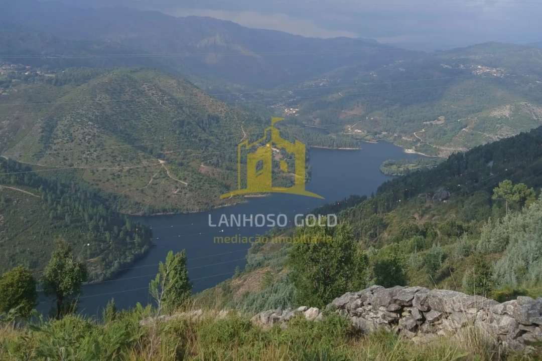 Terreno para Venda em Ruivães e Campos Foto 3