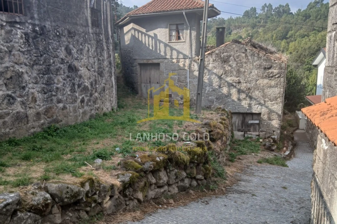 Terreno para Venda em Ruivães e Campos Foto 7