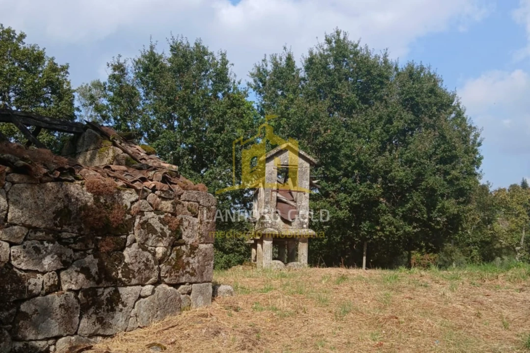 Terreno para Venda em Ruivães e Campos Foto 14