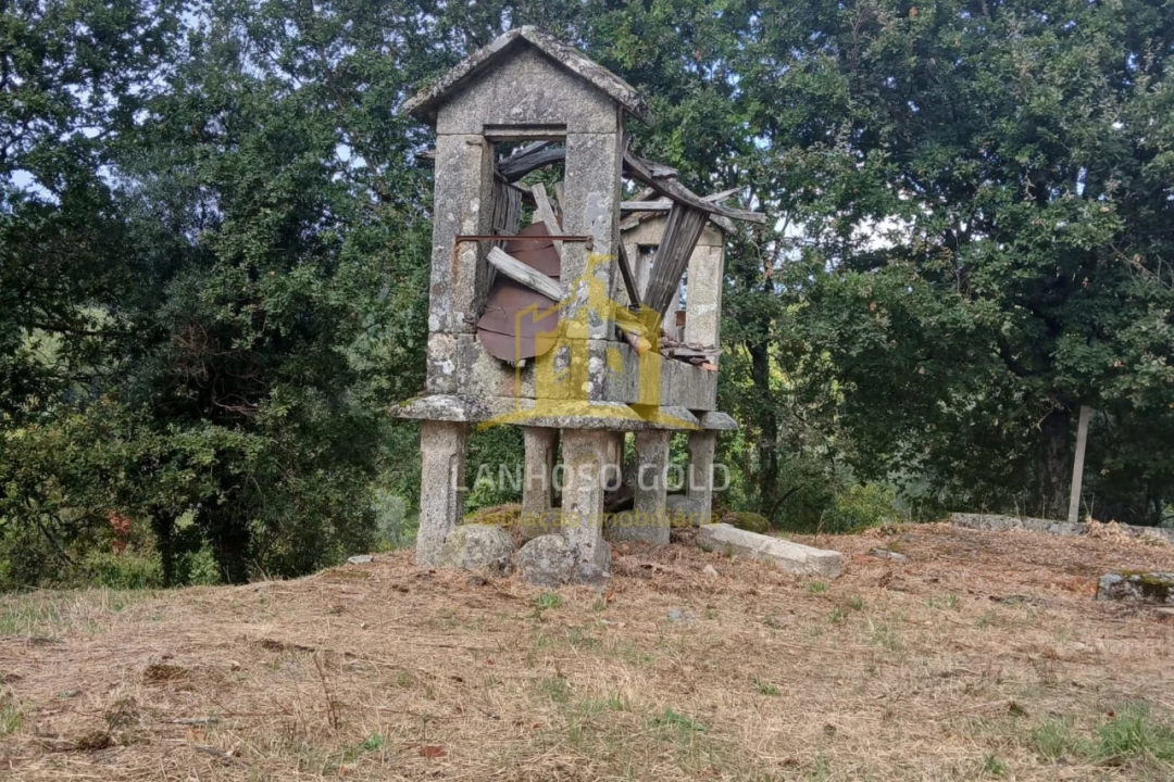 Terreno para Venda em Ruivães e Campos Foto 15