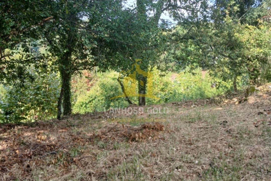 Terreno para Venda em Ruivães e Campos Foto 16