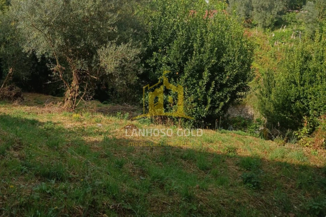 Terreno para Venda em Ruivães e Campos Foto 18