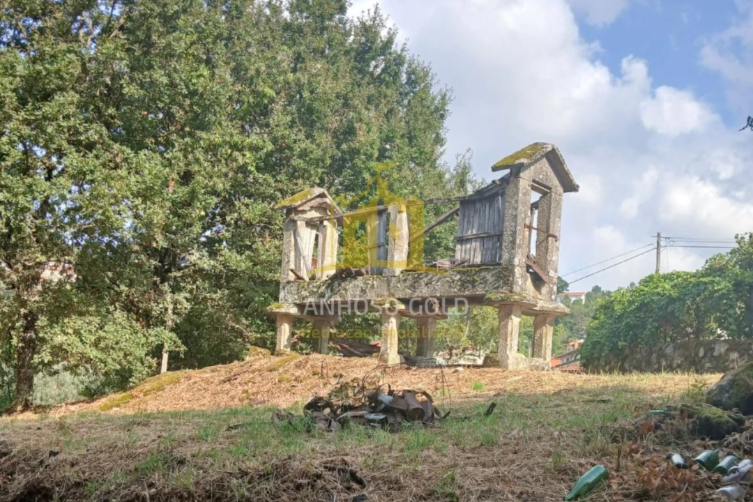 Terreno para Venda em Ruivães e Campos Foto 19