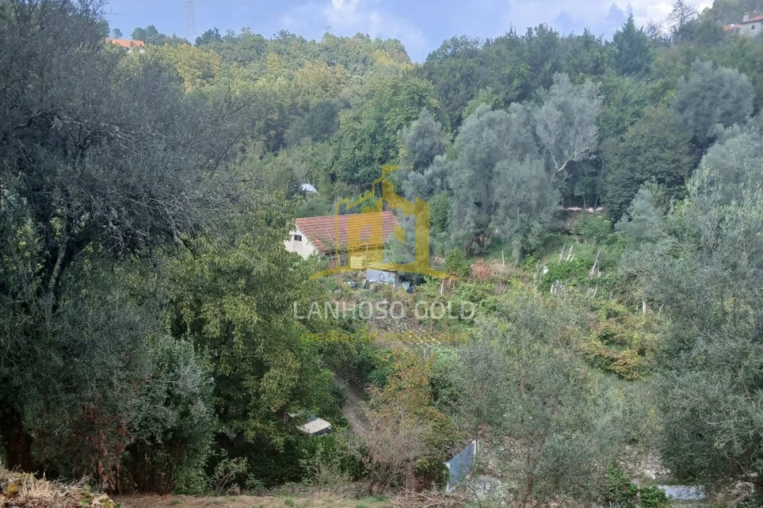 Terreno para Venda em Ruivães e Campos Foto 22