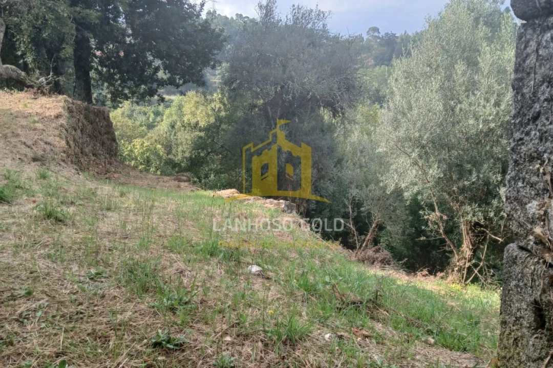 Terreno para Venda em Ruivães e Campos Foto 23