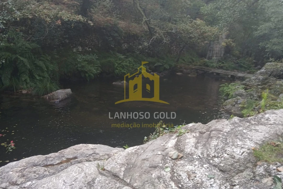 Terreno para Venda em Ruivães e Campos Foto 28