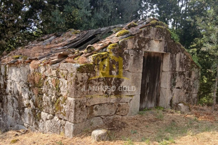 Terreno para Venda em Ruivães e Campos Foto 2