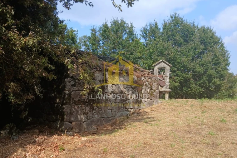 Terreno para Venda em Ruivães e Campos Foto 5