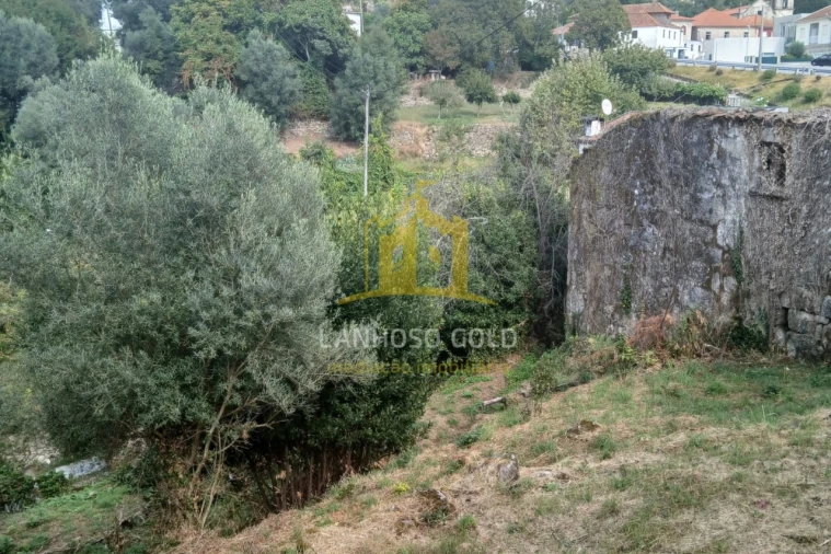 Terreno para Venda em Ruivães e Campos Foto 8