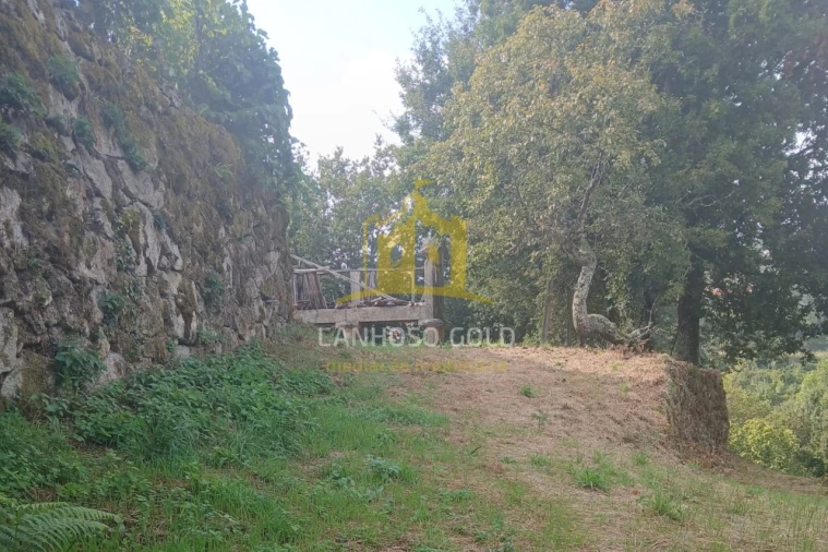 Terreno para Venda em Ruivães e Campos Foto 10