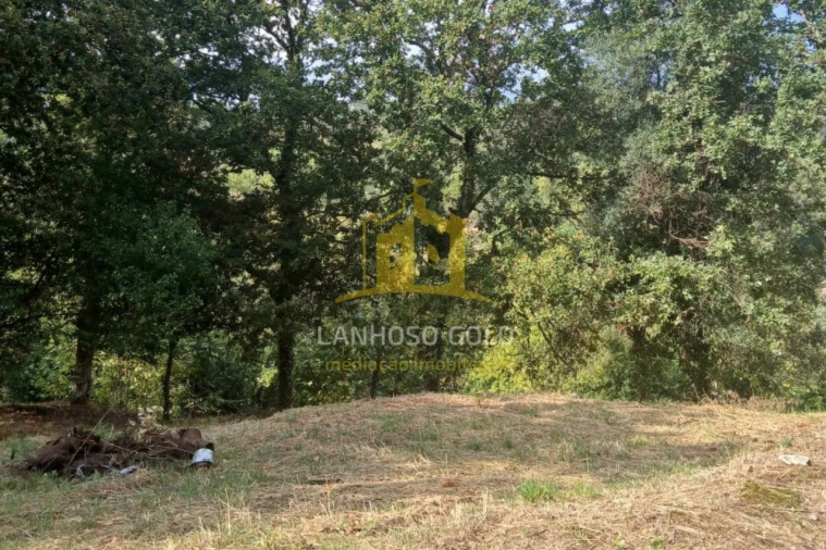 Terreno para Venda em Ruivães e Campos Foto 17