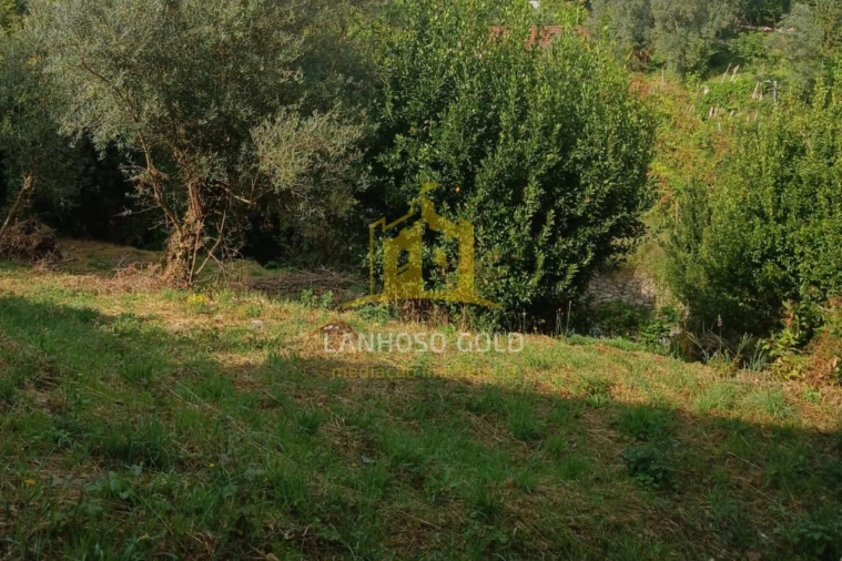 Terreno para Venda em Ruivães e Campos Foto 18