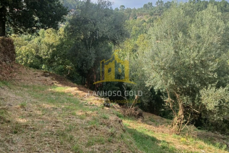 Terreno para Venda em Ruivães e Campos Foto 20