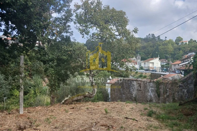 Terreno para Venda em Ruivães e Campos Foto 21