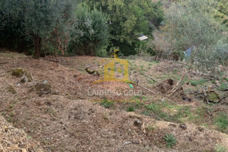 Terreno para Venda em Ruivães e Campos Foto 24