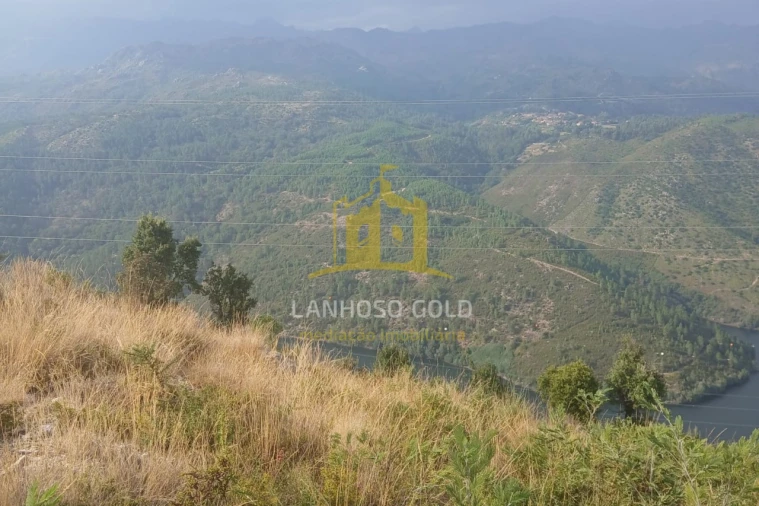 Terreno para Venda em Ruivães e Campos Foto 25