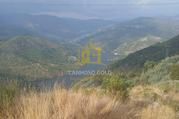 Terreno para Venda em Ruivães e Campos Foto 26