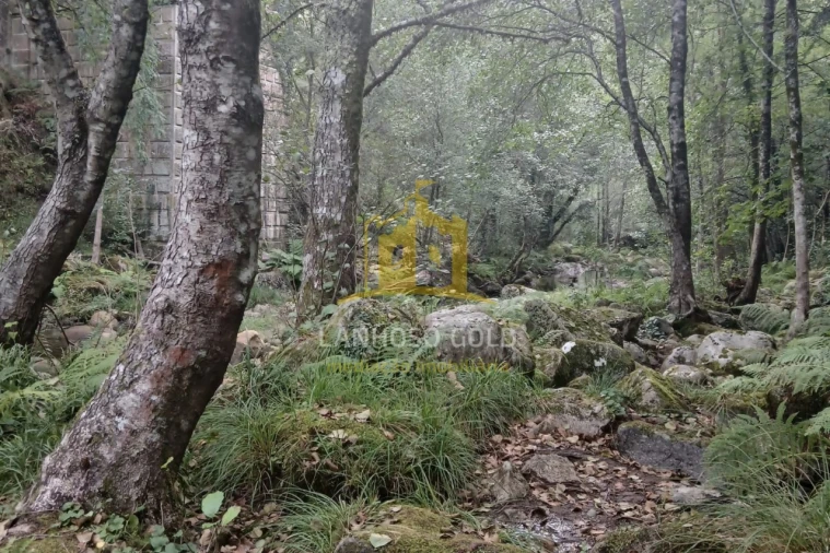 Terreno para Venda em Ruivães e Campos Foto 30