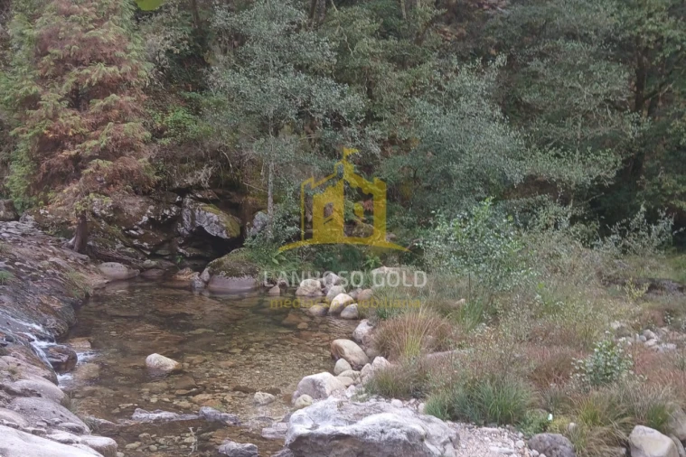 Terreno para Venda em Ruivães e Campos Foto 31