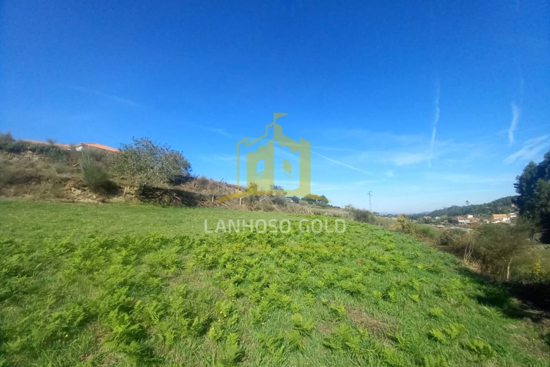 Terreno para Venda em Cunha Foto 11