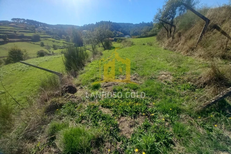 Terreno para Venda em Cunha Foto 14