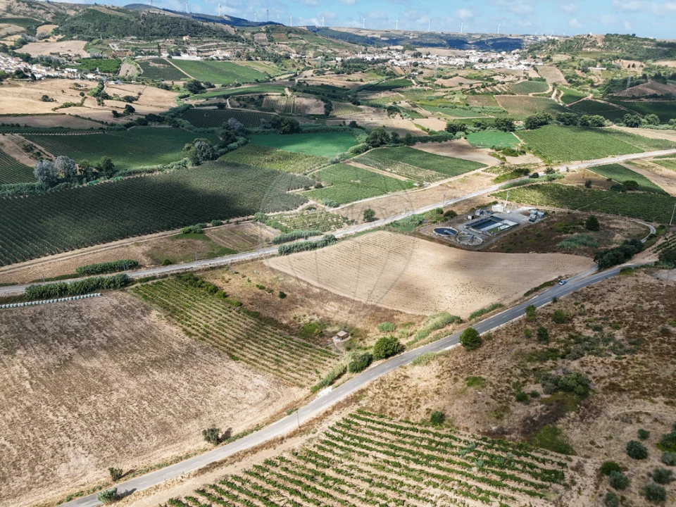 Terreno para Venda em Dois Portos e Runa Foto 3
