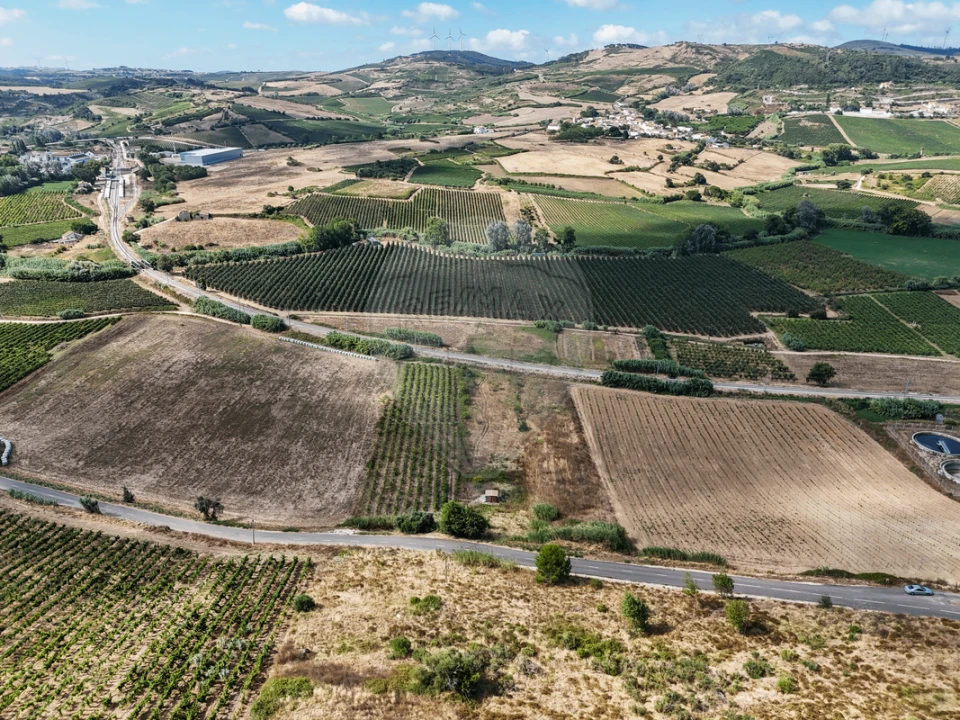 Terreno para Venda em Dois Portos e Runa Foto 6