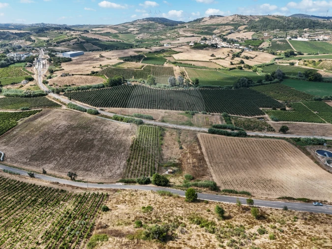 Terreno para Venda em Dois Portos e Runa Foto 6