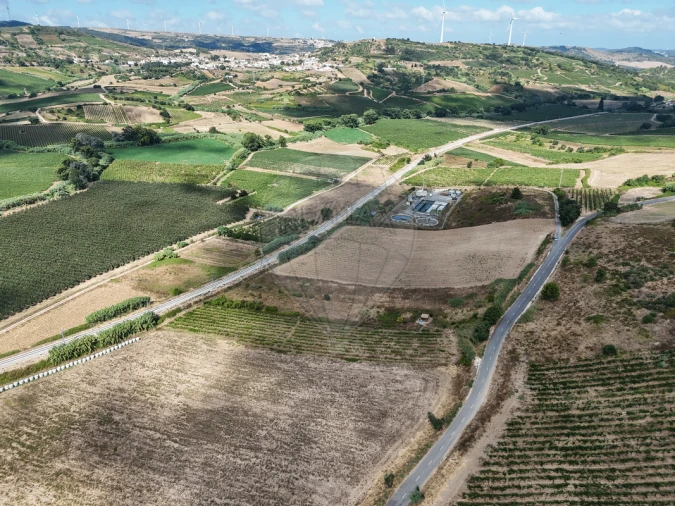 Terreno para Venda em Dois Portos e Runa Foto 4