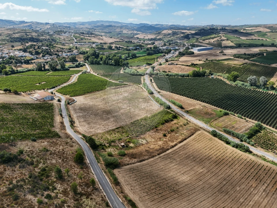 Terreno para Venda em Dois Portos e Runa Foto 2