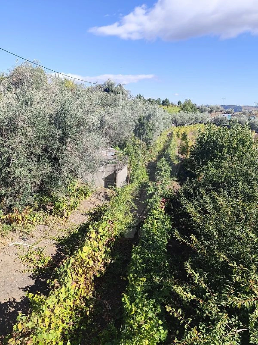 Moradia T3 para Venda em Celeiros Foto 17