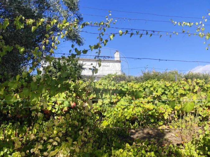 Moradia T3 para Venda em Celeiros Foto 20