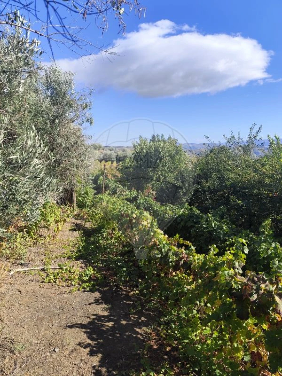 Moradia T3 para Venda em Celeiros Foto 21