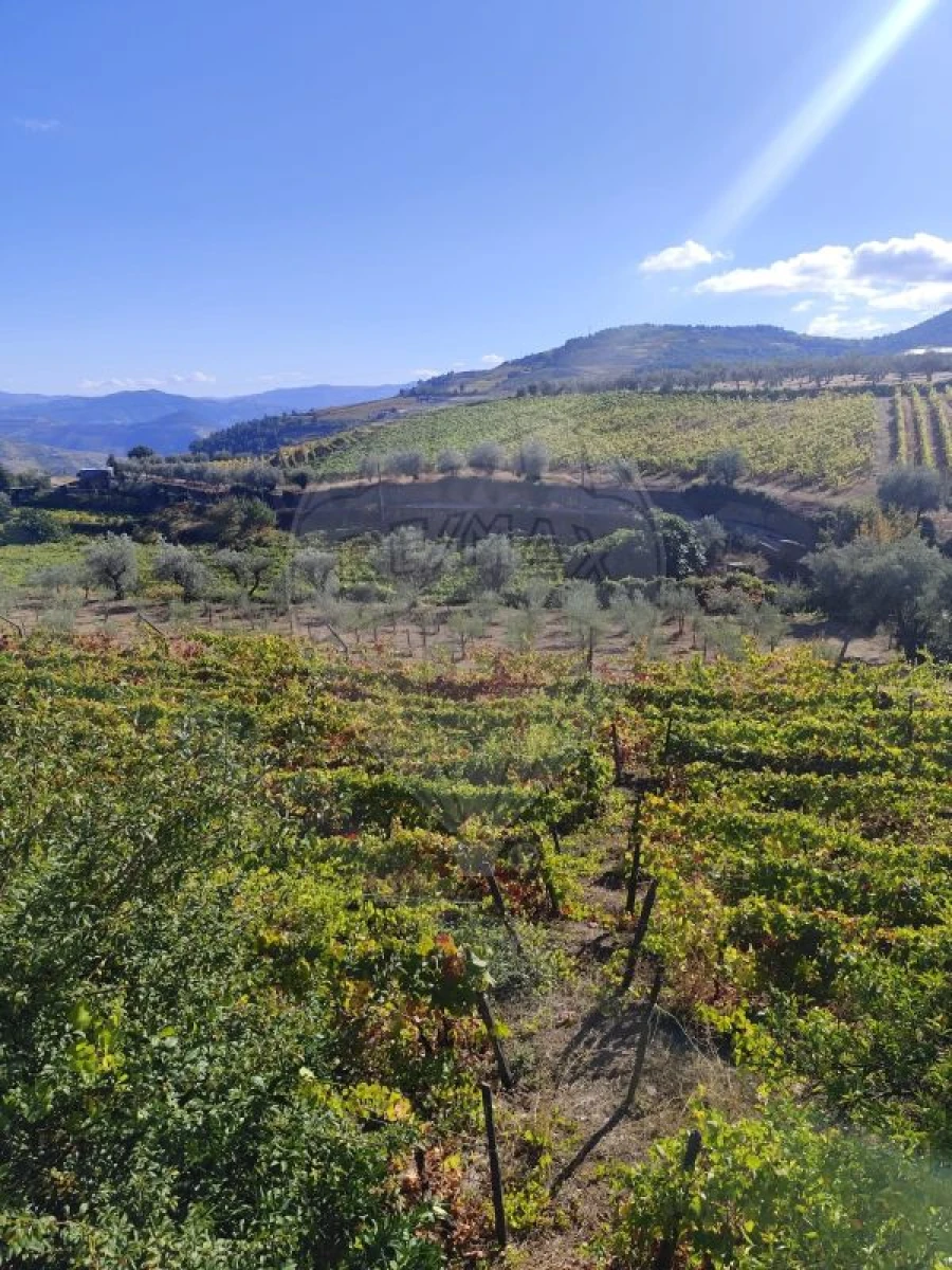 Moradia T3 para Venda em Celeiros Foto 14