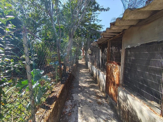 Moradia T2 para Venda em Avintes Foto 7