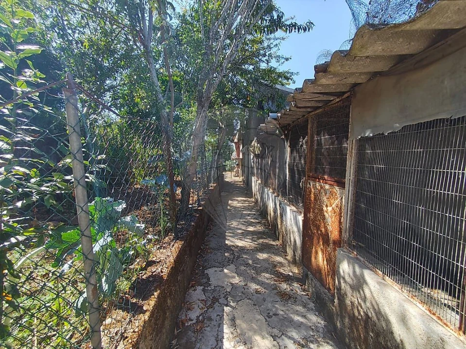 Moradia T2 para Venda em Avintes Foto 7