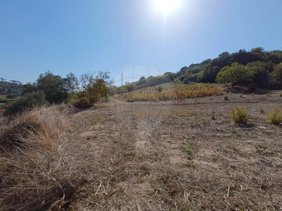 Terreno para Venda em Vale do Paraiso Foto 4