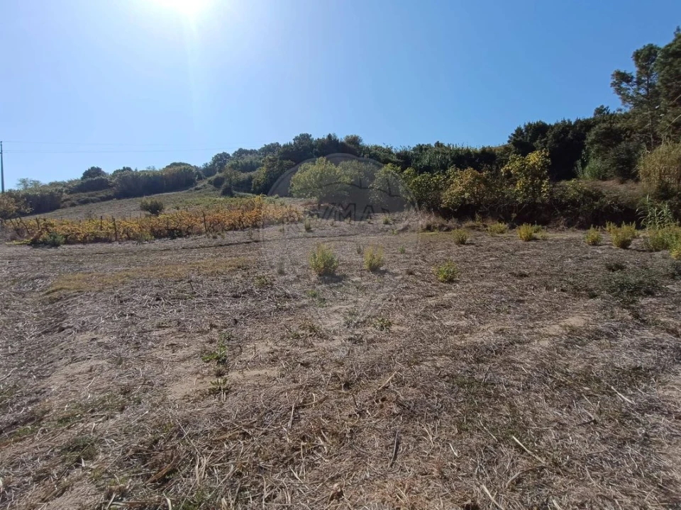 Terreno para Venda em Vale do Paraiso Foto 3