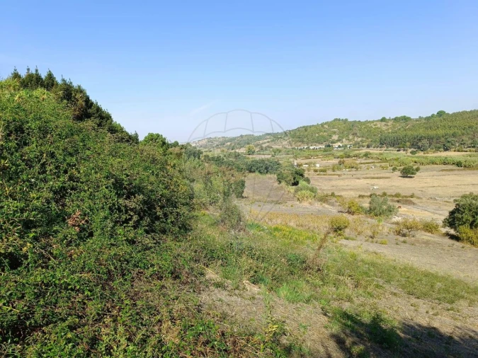 Terreno para Venda em Vale do Paraiso Foto 7