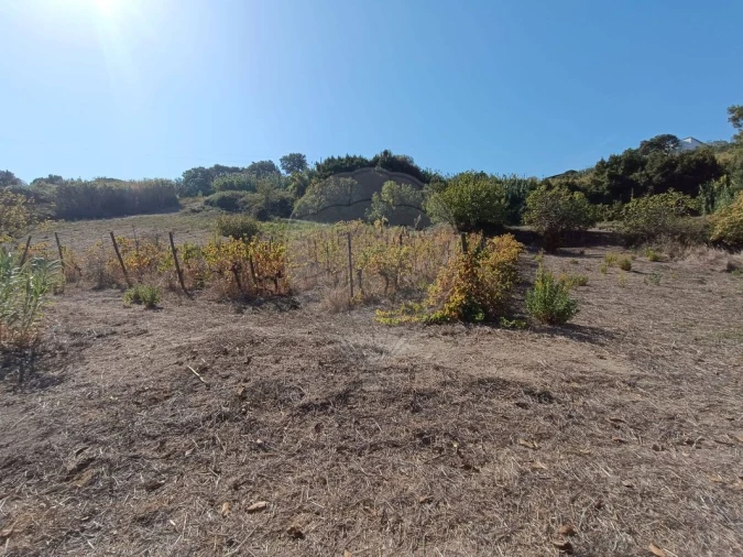 Terreno para Venda em Vale do Paraiso Foto 5