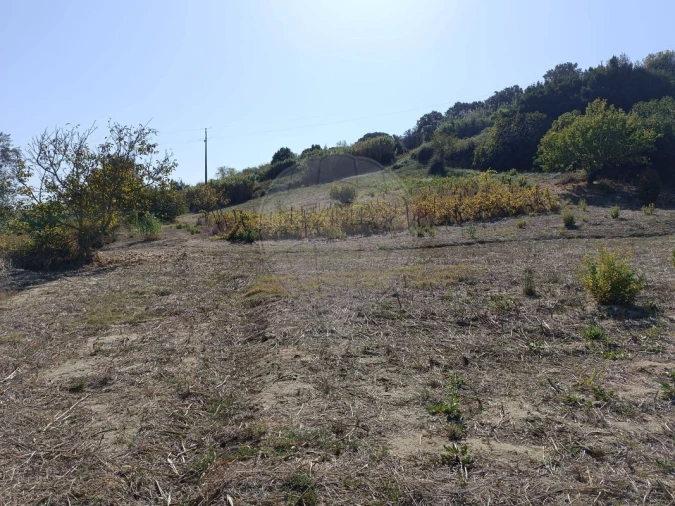 Terreno para Venda em Vale do Paraiso Foto 11