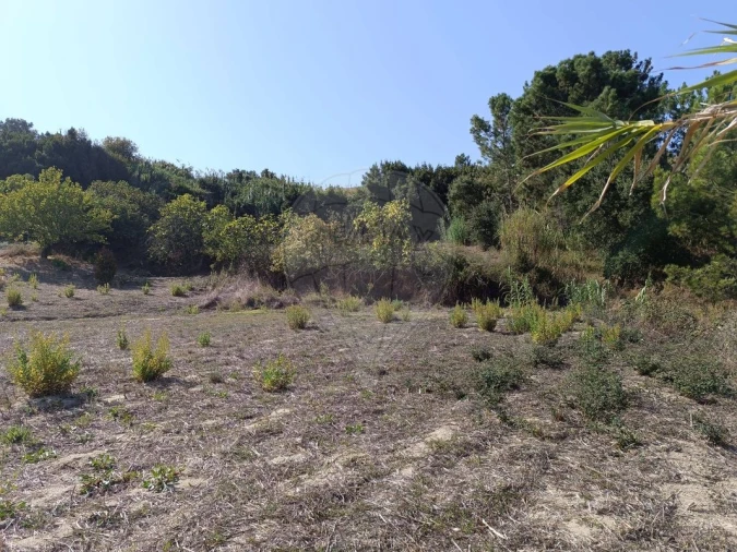 Terreno para Venda em Vale do Paraiso Foto 9