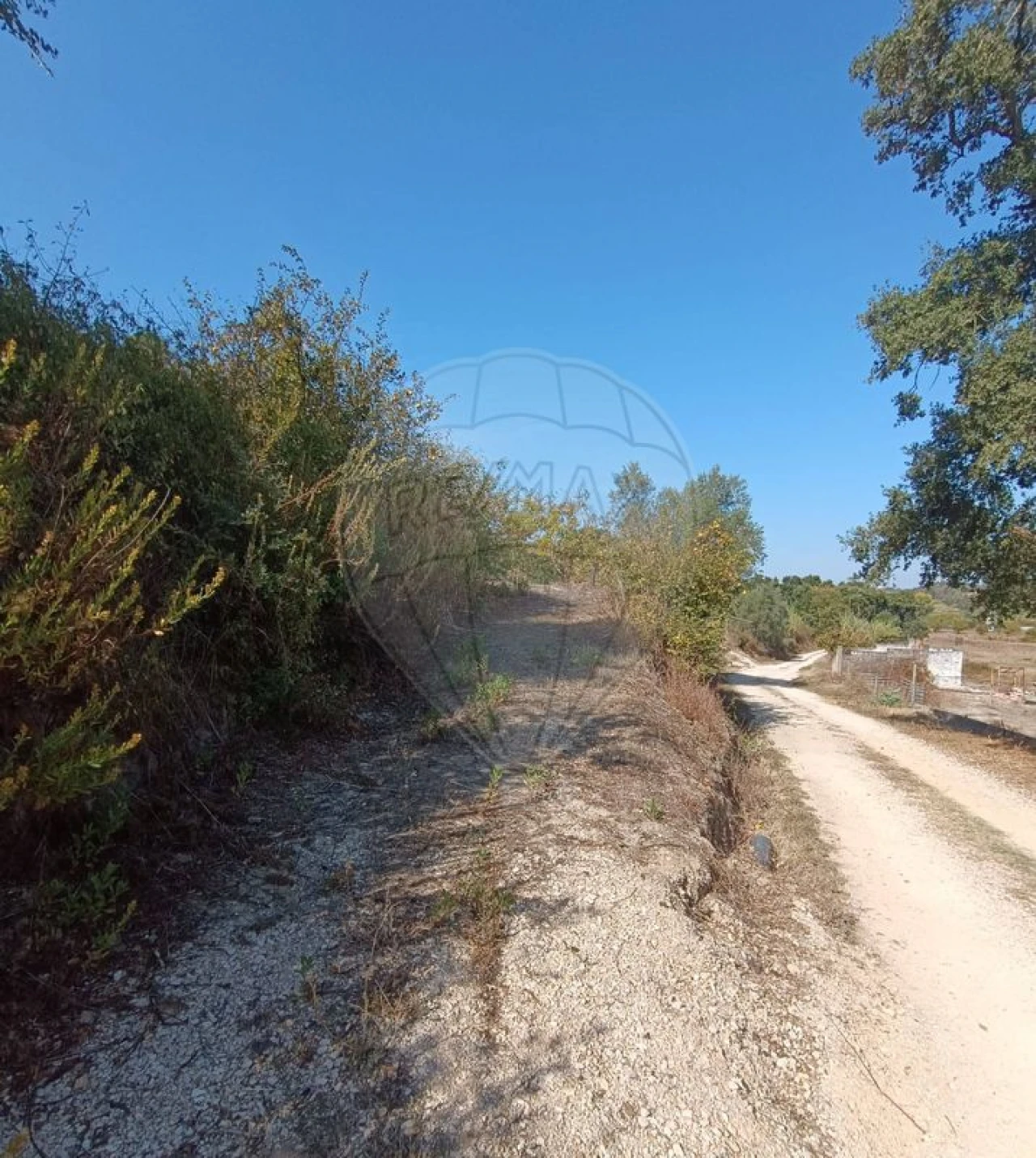 Terreno para Venda em Vale do Paraiso Foto 10