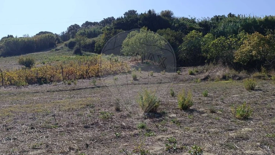 Terreno para Venda em Vale do Paraiso