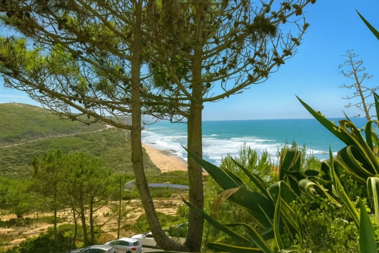 Apartamento T1 para Venda em Almargem do Bispo, Pêro Pinheiro e Montelavar Foto 4