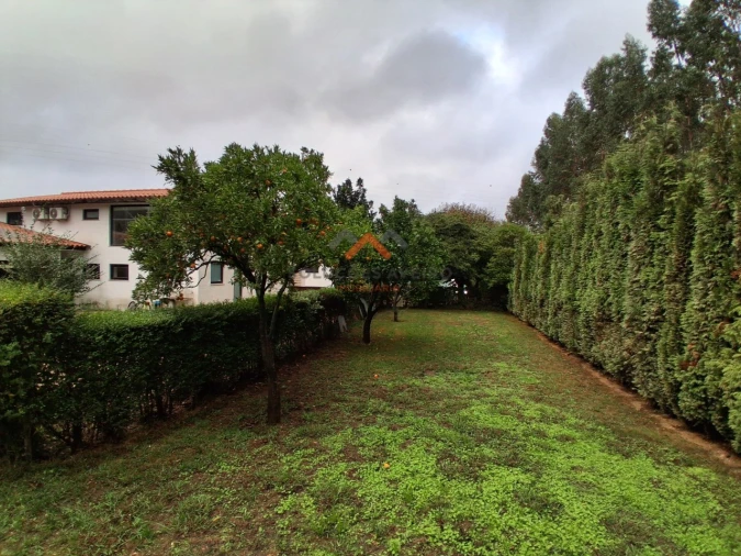 Moradia T6 para Venda em Barrô e Aguada de Baixo Foto 49