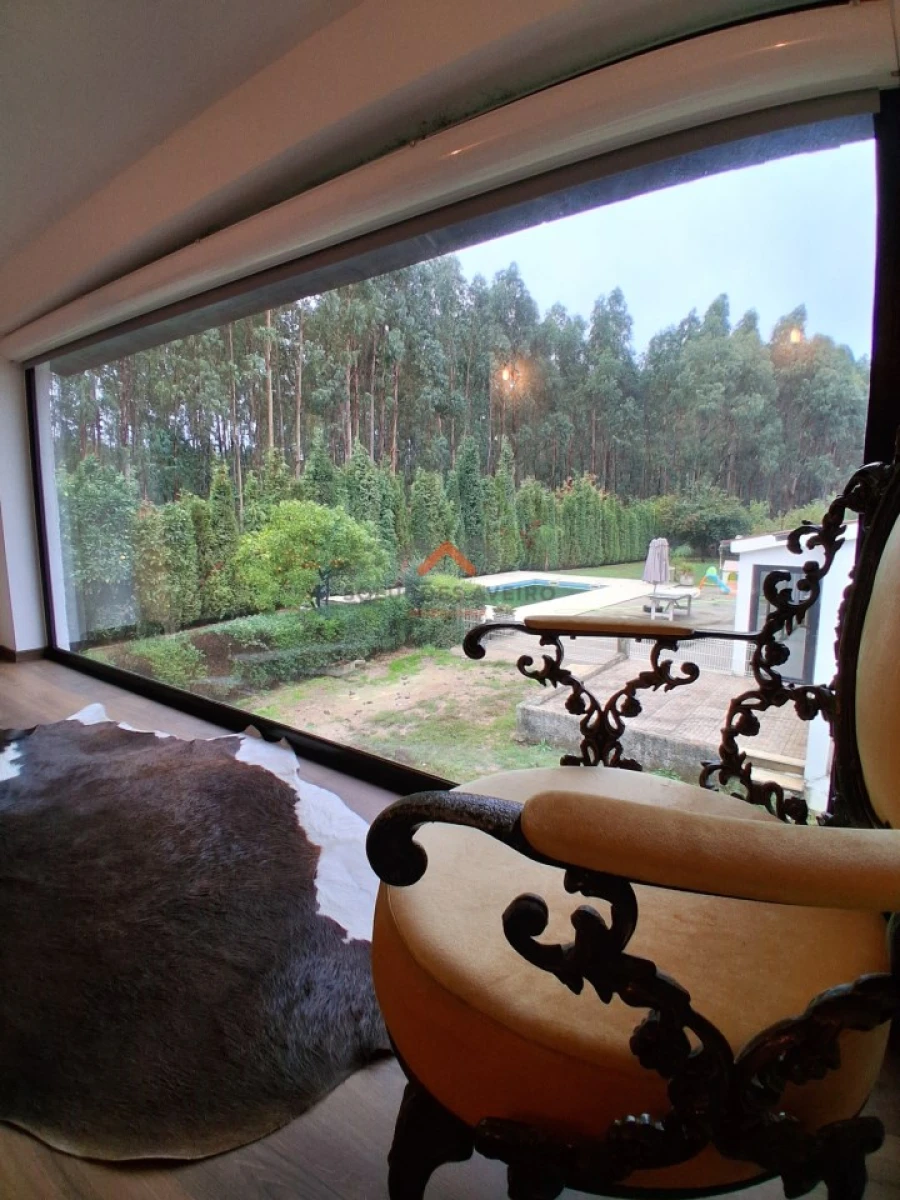 Moradia T6 para Venda em Barrô e Aguada de Baixo Foto 56