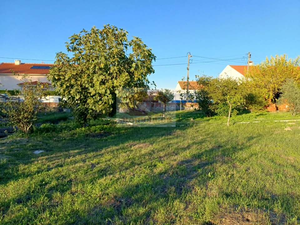 Quinta T7 para Venda em Grândola e Santa Margarida da Serra Foto 24